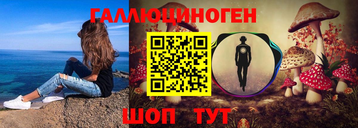 Псилоцибиновые грибы Psilocybine cubensis  где купить наркотик  Тара  Вход с VPN  Галлюциногенные грибы MAGIC MUSHROOMS 